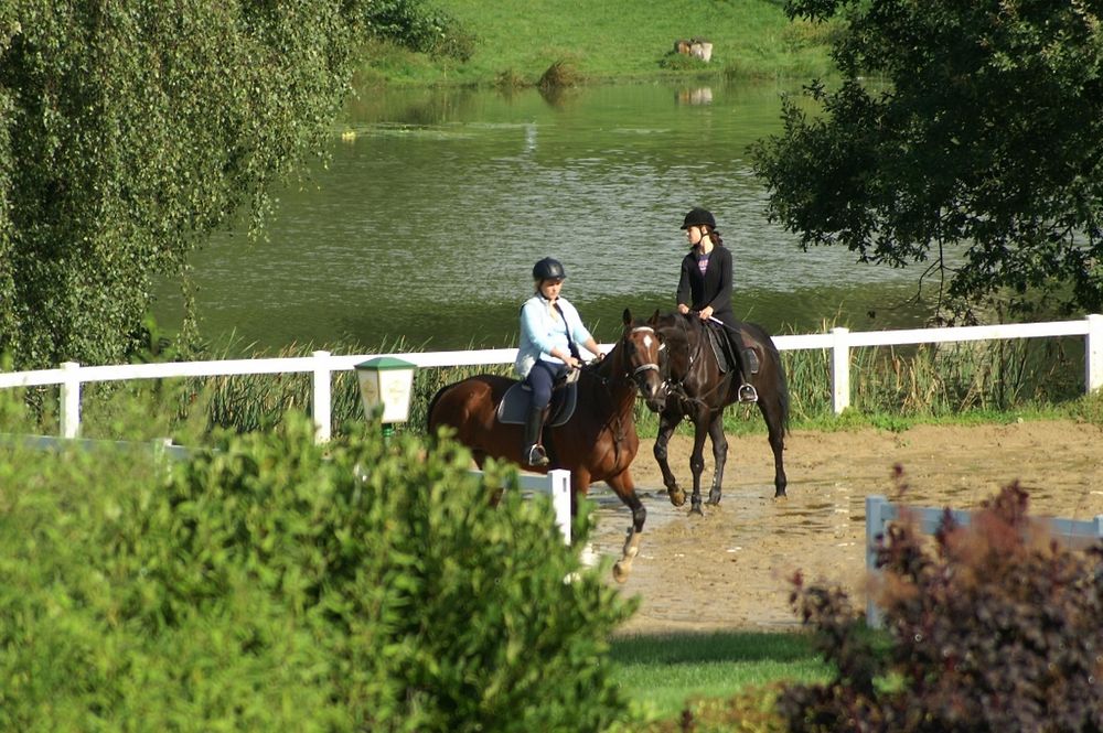 Reiten in Kell am See r4yd5q