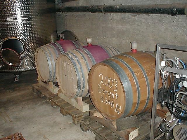 Ferienwohnung Weingut Dreikönigshof r4rw4s