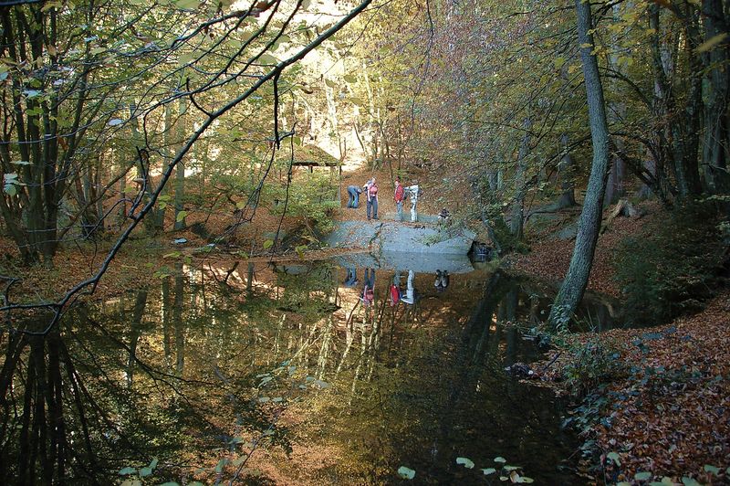 tochten/traumschleifen-quartett-im-baybachtal-0cd2
