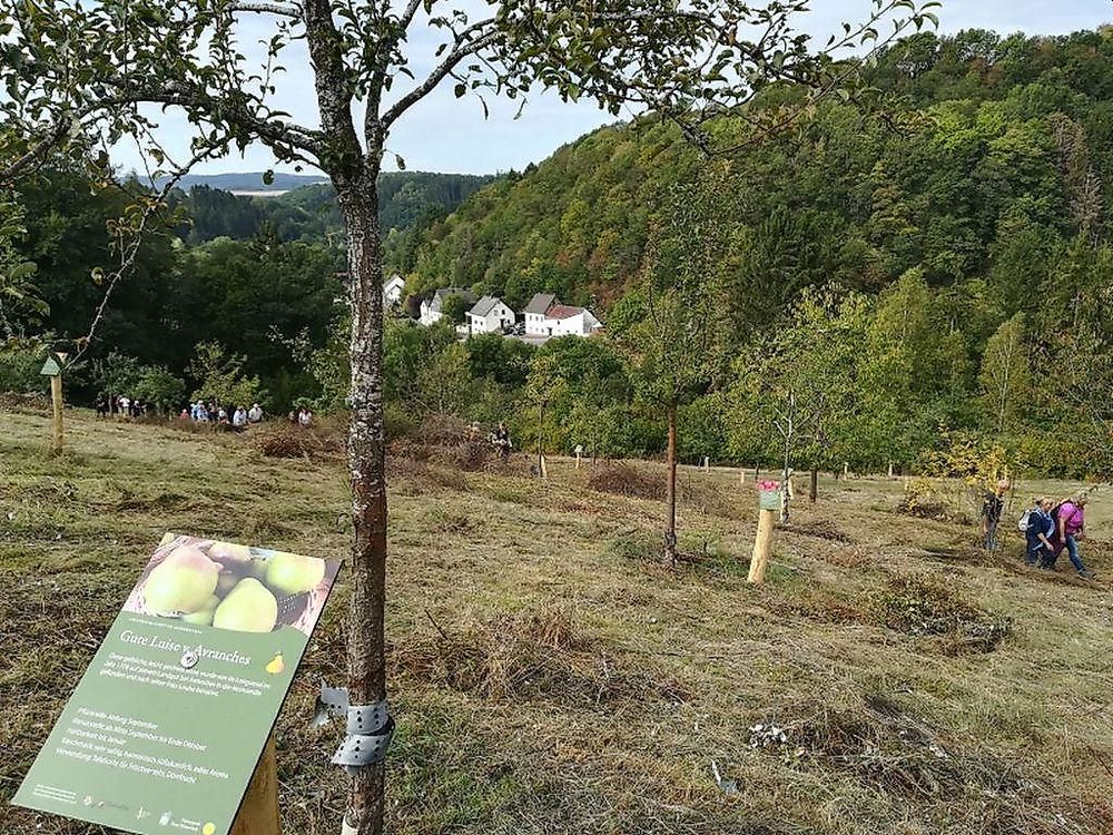 Obstbaumlehrpfad pqymil