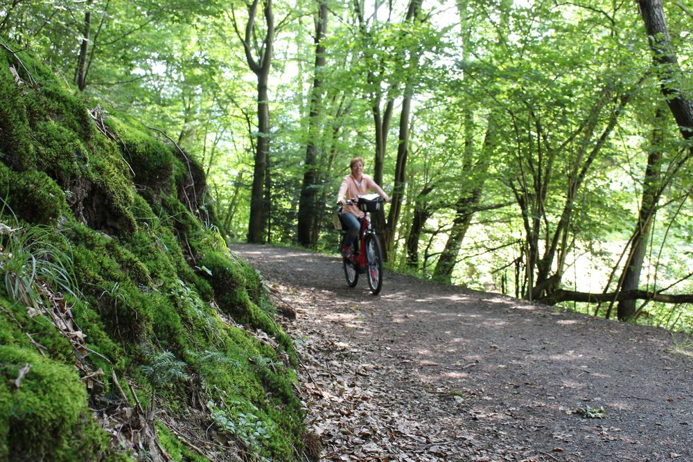 Appelbach Radweg pqfczp