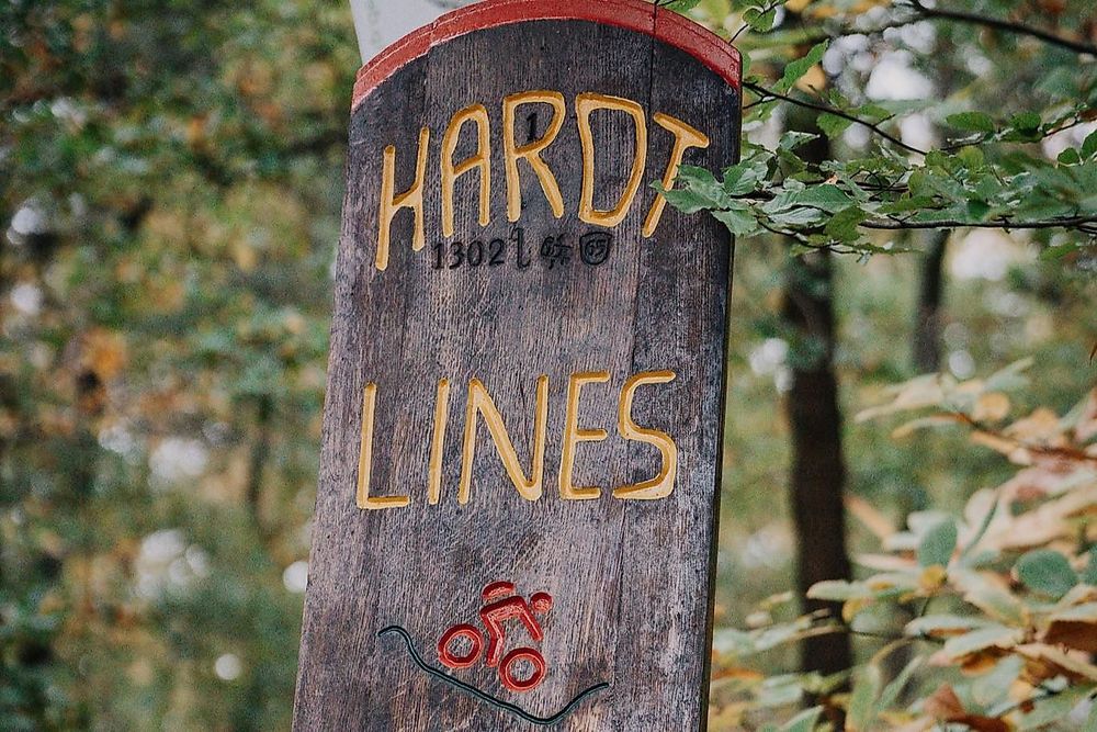 Mountainbike   Hardtlines Stadtwald Bad Kreuznach ppfbh0