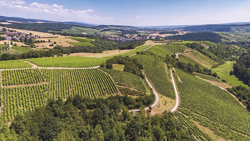 evenementen/terroirwanderung-auf-dem-xsteyerberg-528e