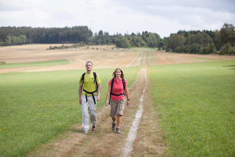 tochten/hunsruecker-jakobsweg-ausoniusweg-bingen-xtrier-9d0d
