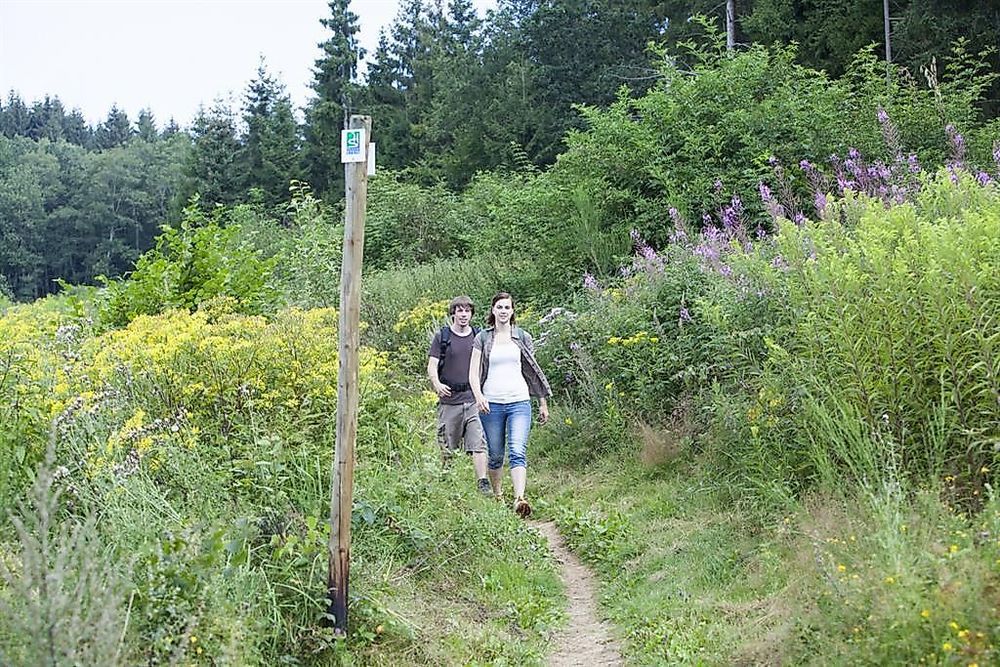 Der Saar Hunsrück Steig pnvvpt
