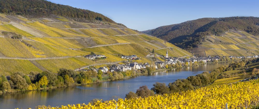 "Marienburg" Rundwanderweg im Zeller Land r0miu1