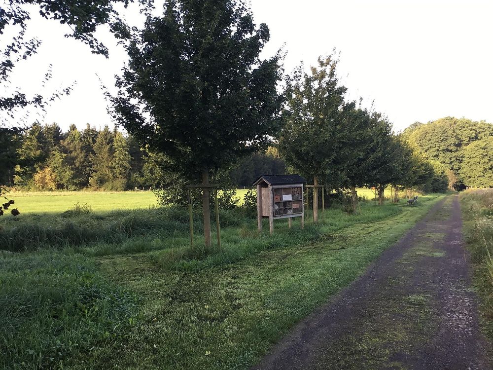 Biotop am Dorfrand von Maisborn pmhb8b