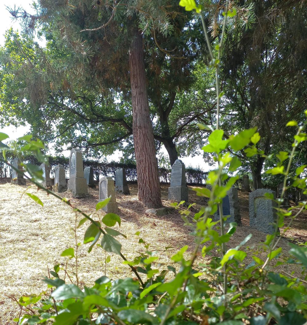 Jüdischer Friedhof pl0uhr