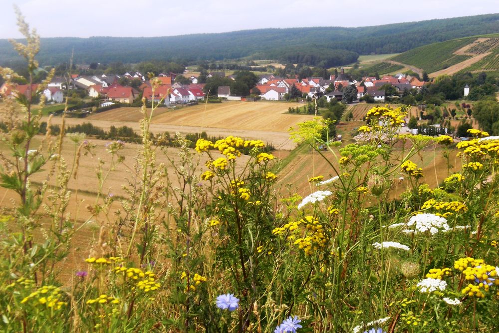 Sommerloch im Naheland "Sommerlocher Weg" pjizzi