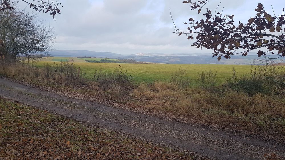 Ferienwohnung Bamberger phhb7l