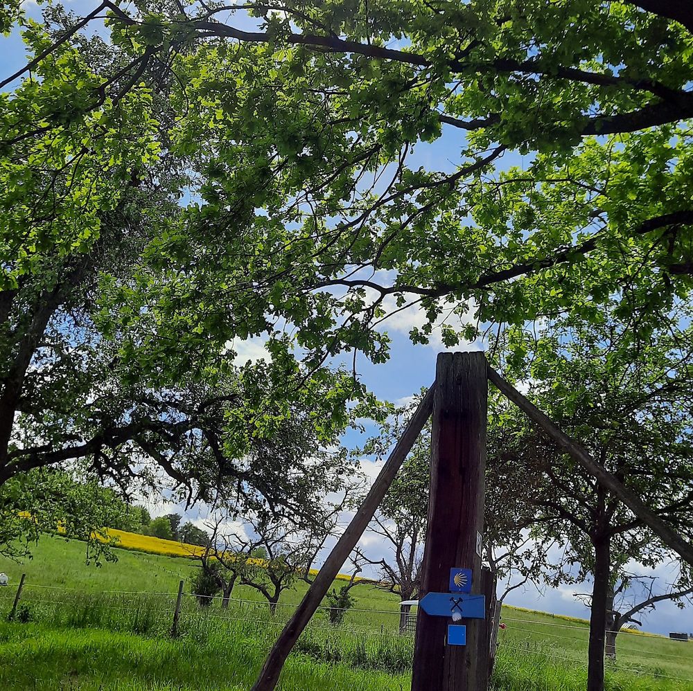 Erzweg St