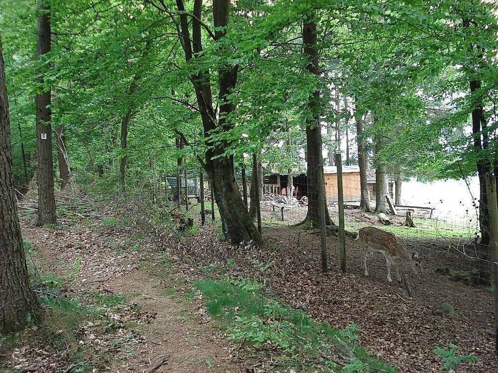 RuT 3   Rundwanderweg bei Greimerath pchugs