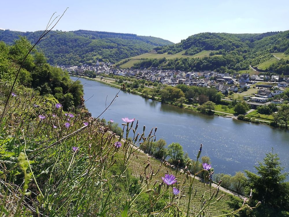 Uhu Steig Briedel pbvwk6