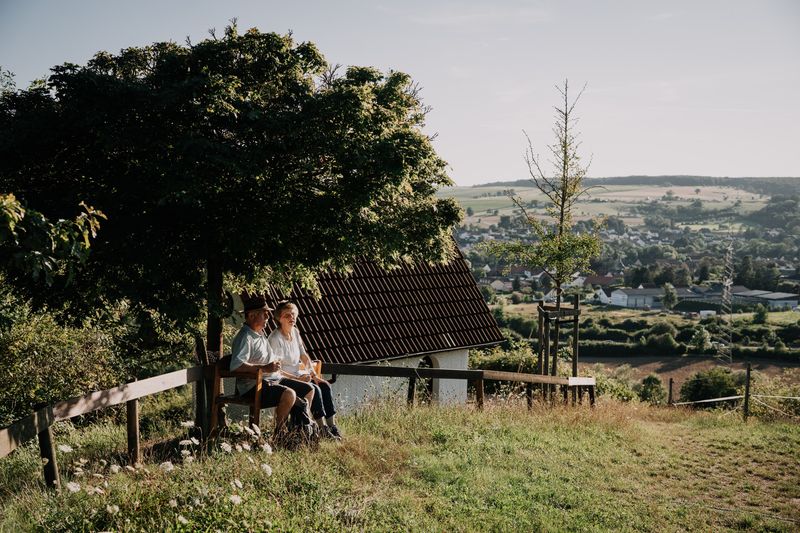 vitaltouren/vitaltour-wald-wein-horizonte-047f