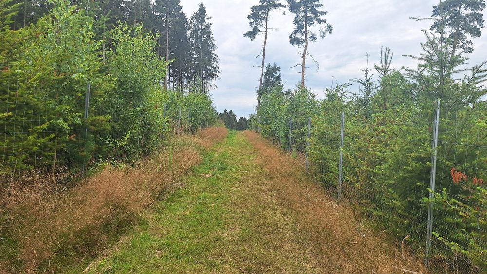 Grenzgängerweg Birkheim ozswyf