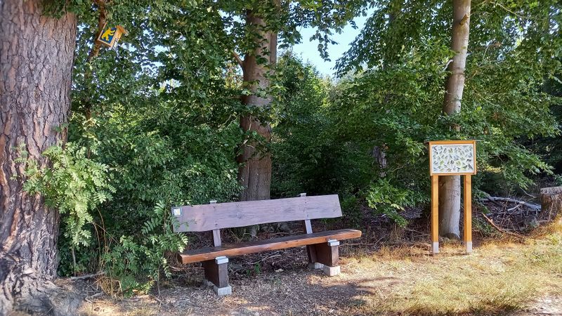 Leichte Wege / Waldrunde oxt36k