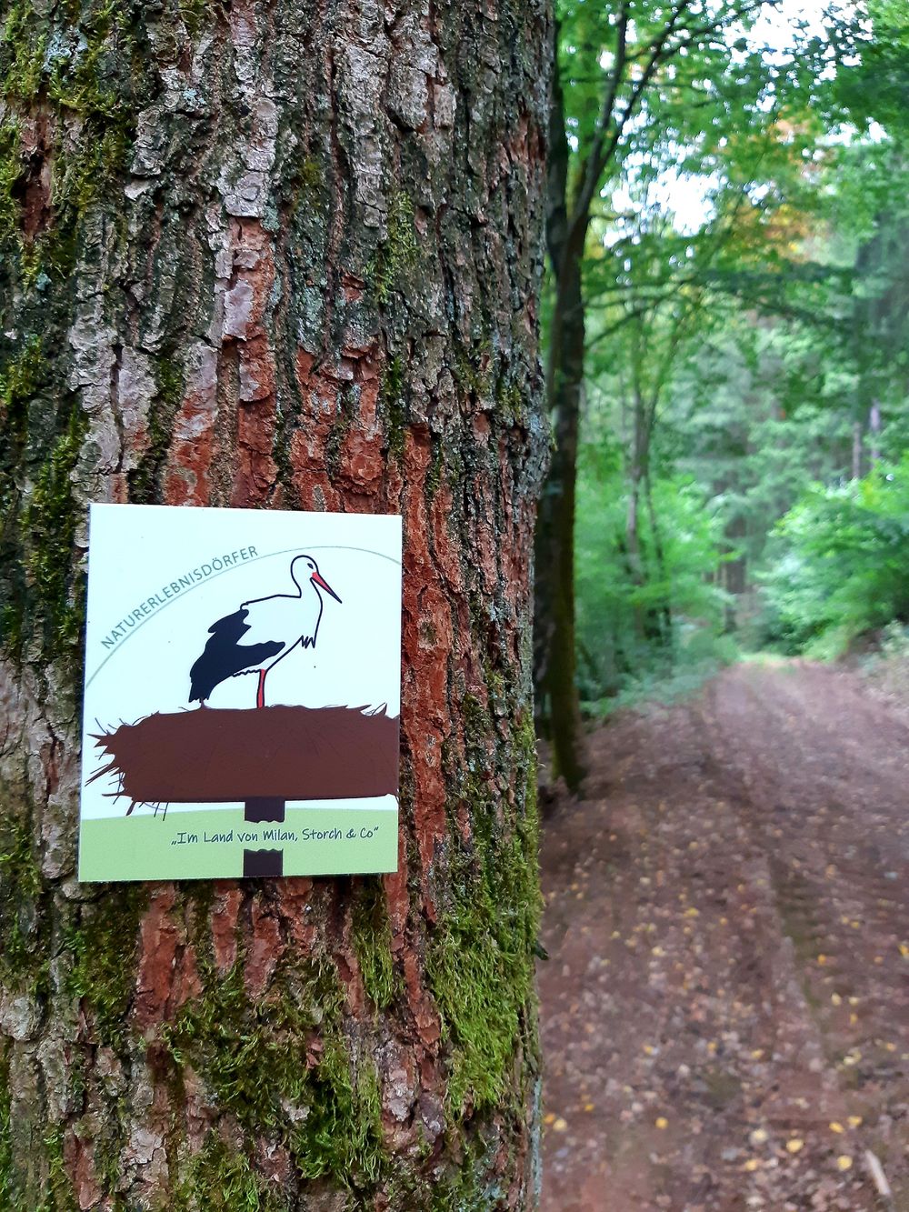 Naturerlebnispfad "Im Land von Milan, Storch & Co" owt6qa