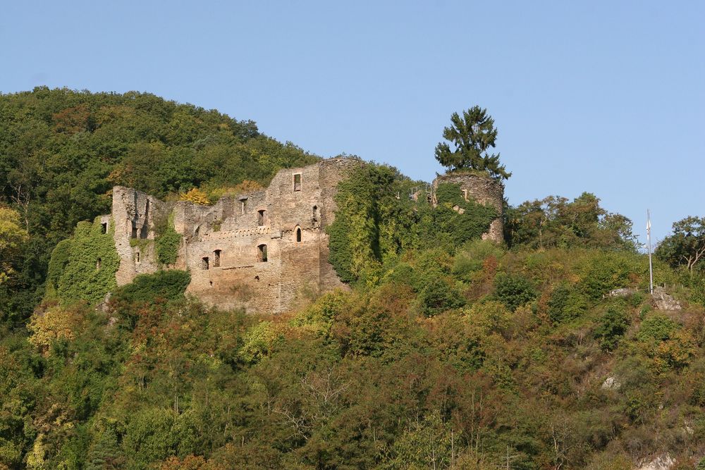 Rüdesheim   Gräfenbacherhütte/Opelwiese   Streckenwanderweg ovrrs0