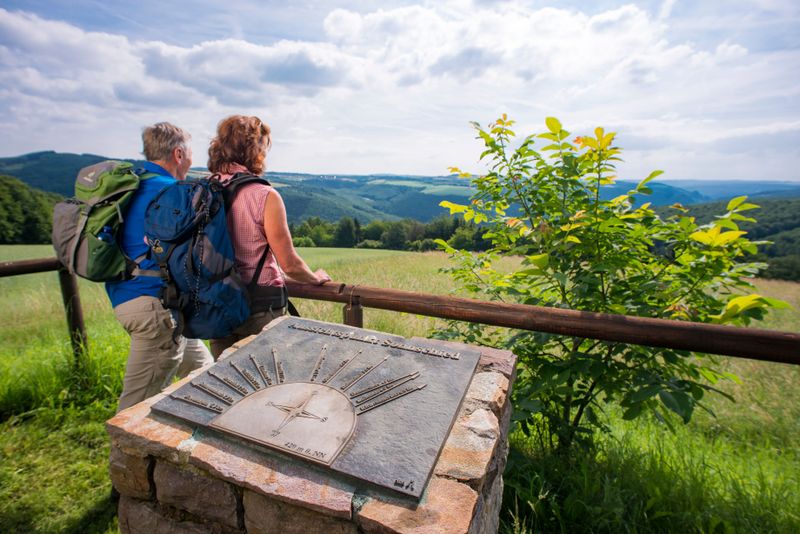 Saar Hunsrück Steig   14