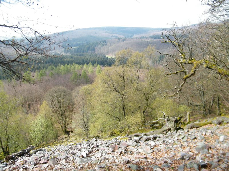 Nationalpark Radquerung 1 oto77r