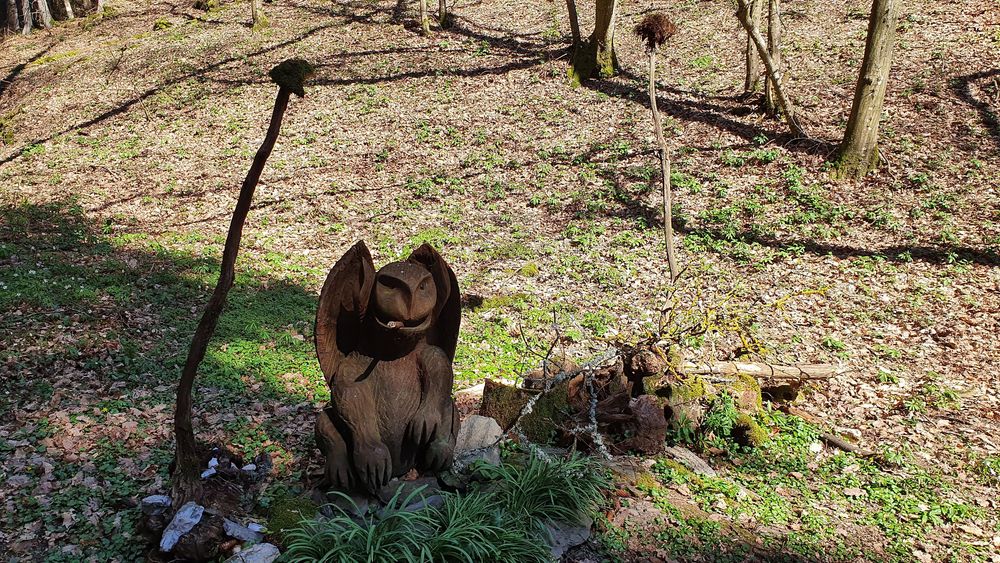 Traumschleifen Quartett im Baybachtal oto661
