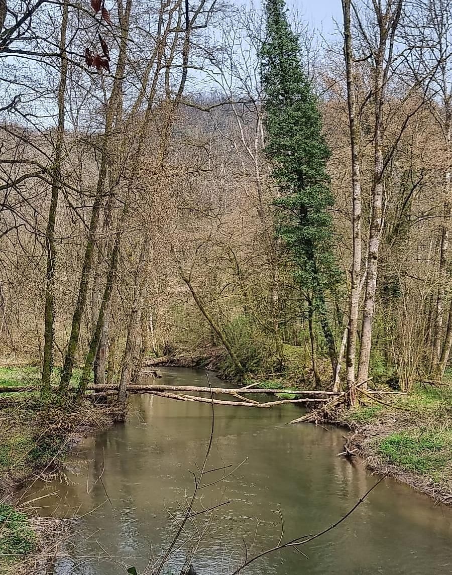 Ferienwohnung Zur Alten Burg oswnqc