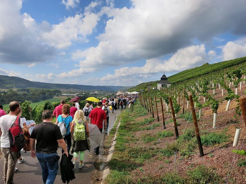 Weinwanderweg Fest bei Monzingen an der Nahe osfrk3