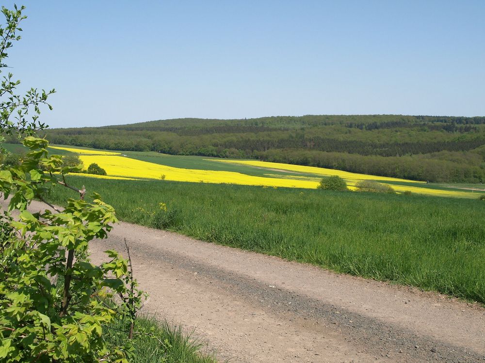 Allenfelder Sonnenrunde   Rundwanderweg um die Gemeinde Allenfeld q5ddxv