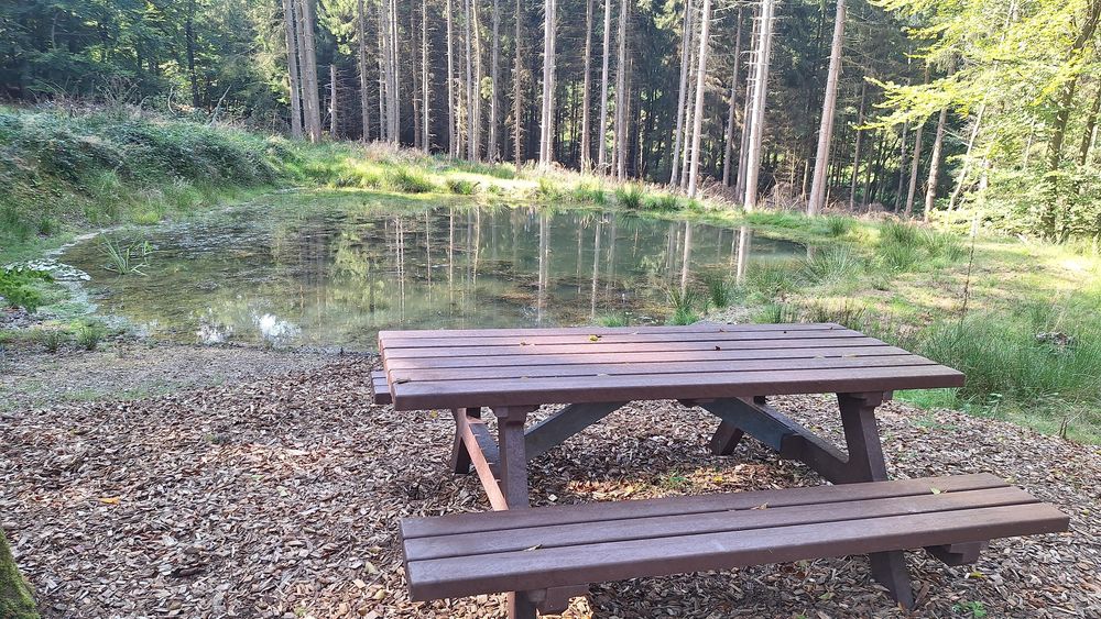 Himmelsteich Birkheim q2lzst