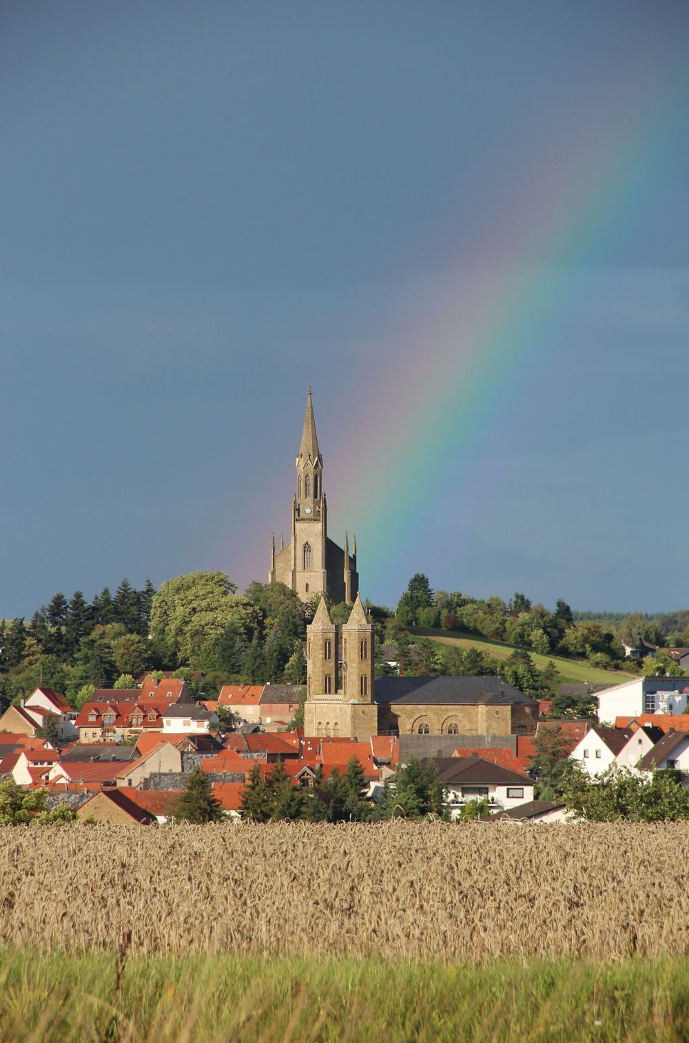 "Auf Leo`s Spuren"   eine Rundtour in Waldböckelheim q1lx7x