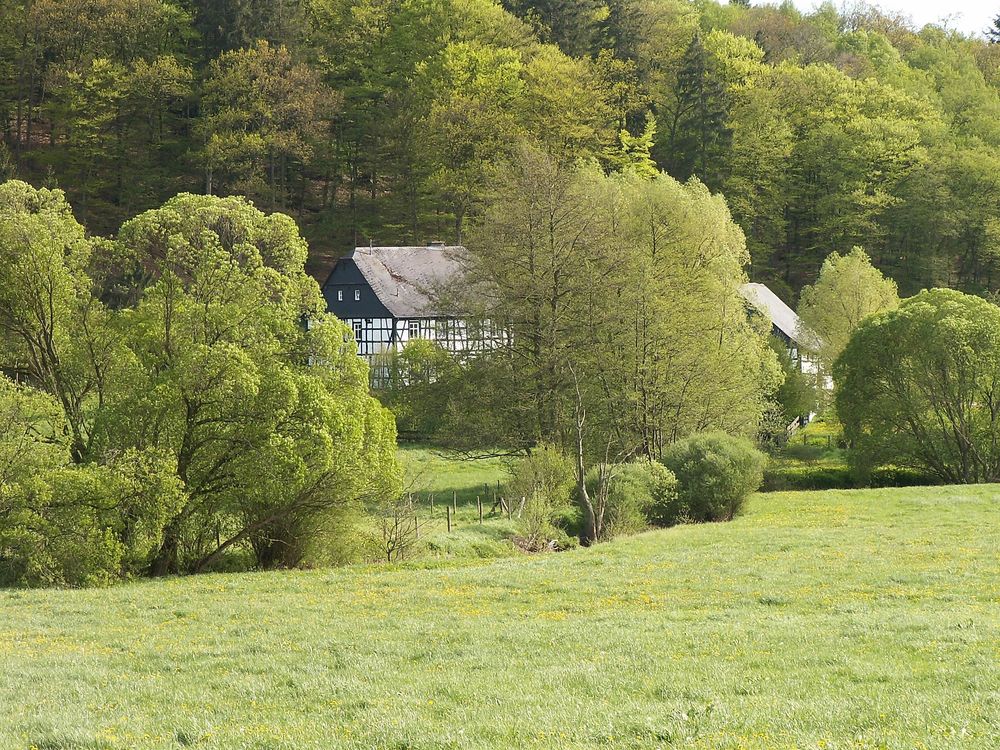 Bachwanderweg q0u41v
