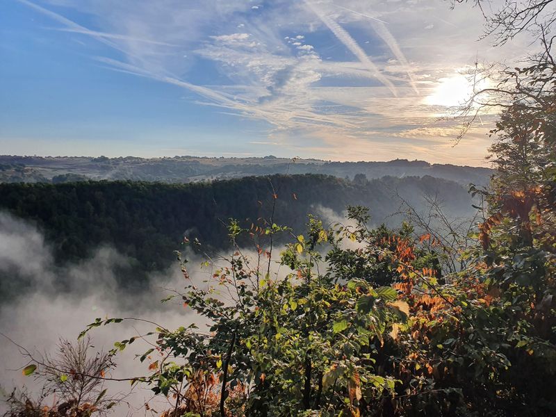 evenementen/culinaire-wildwandeling-in-baumholder-9420