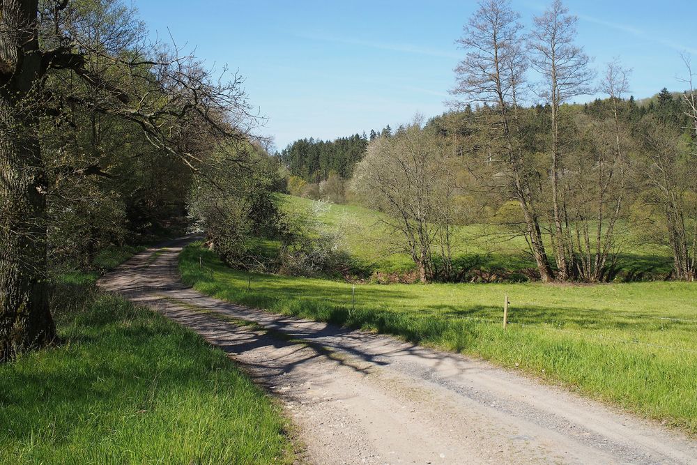 Kirchspiel Wanderweg rund um Blankenrath ohzja2