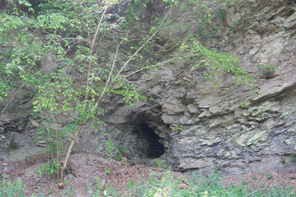 Traumschleife "5 Täler Tour odvw36