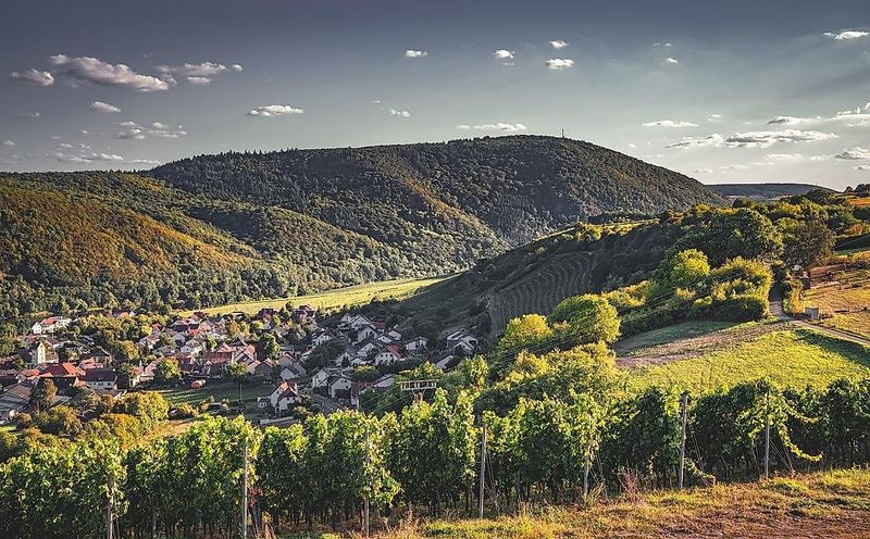 pois/lemberg-daa4