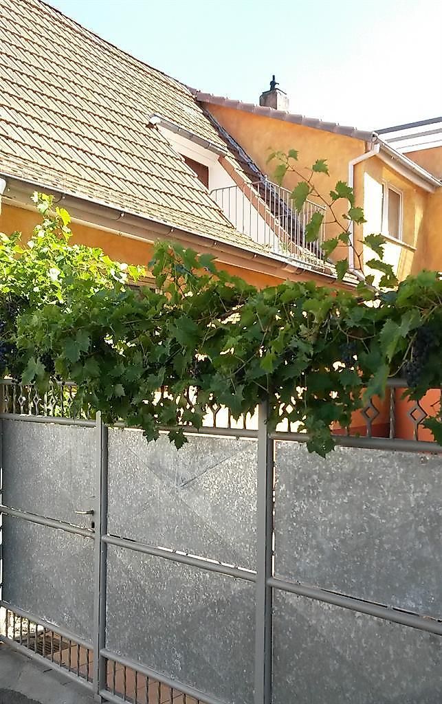Ferienwohnung Rebstockhaisje odmjvj