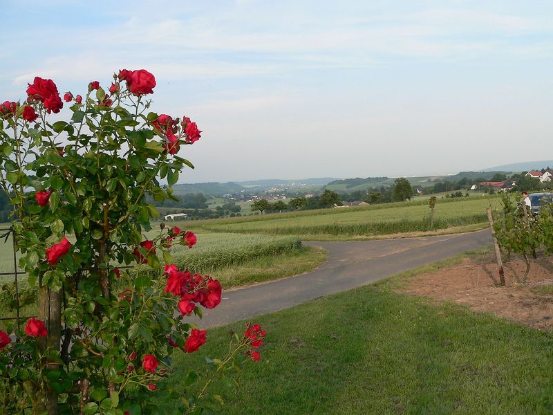 touren/braunweiler-xschneckenpfad-xc7a7