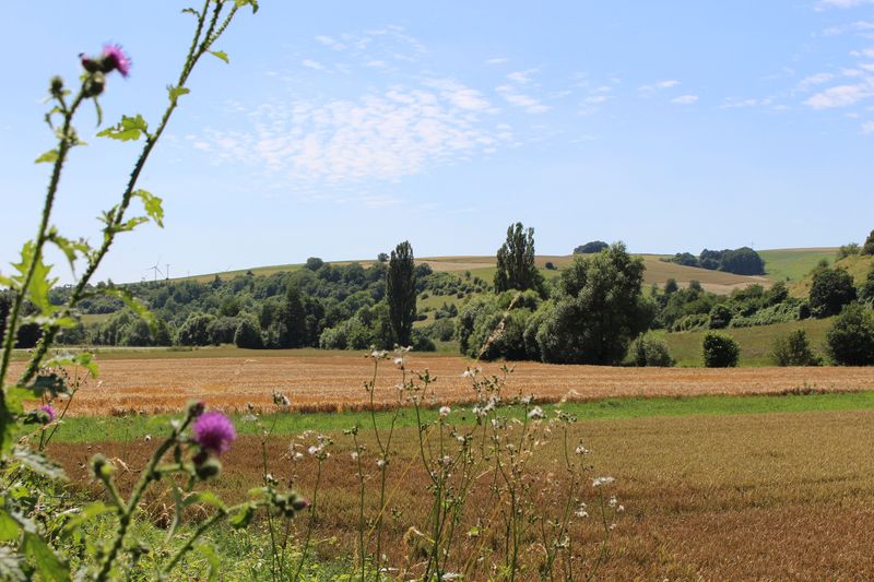 tochten/appelbach-fietspad-18af