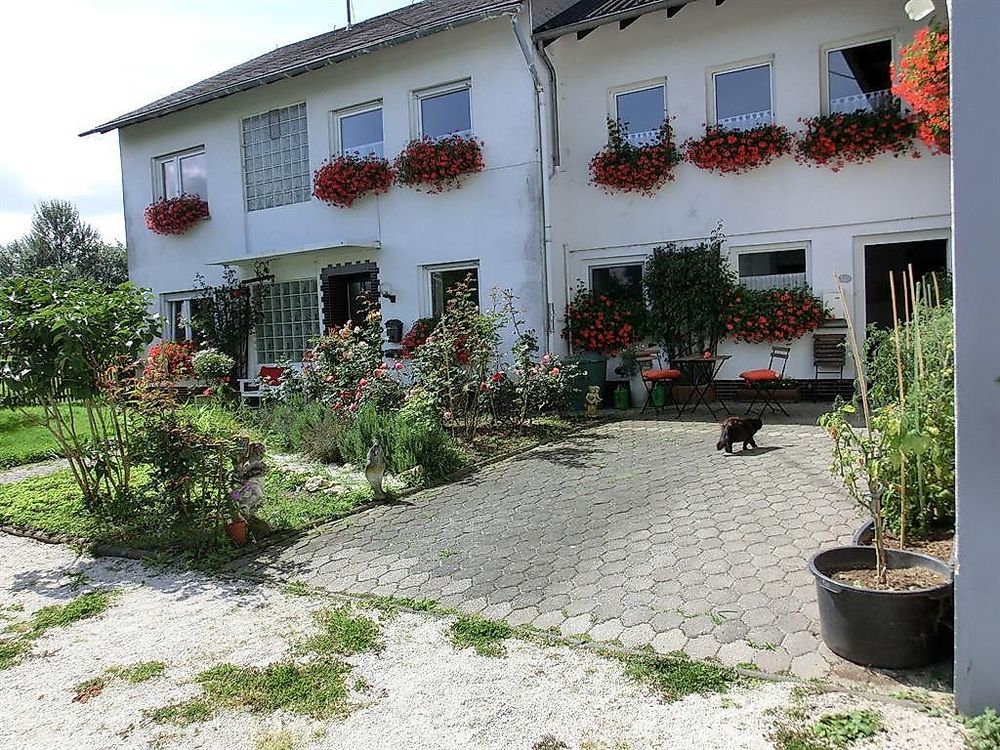 Lindenhof Hahn obt37u