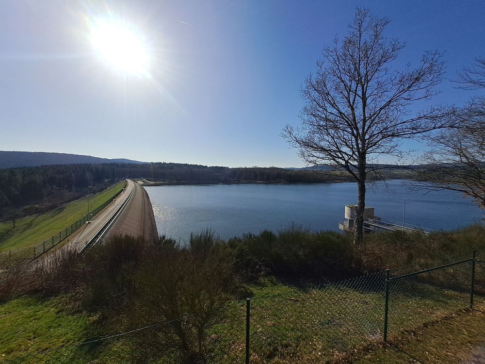 WasserWissensWanderung an der Steinbachtalsperre oaov68