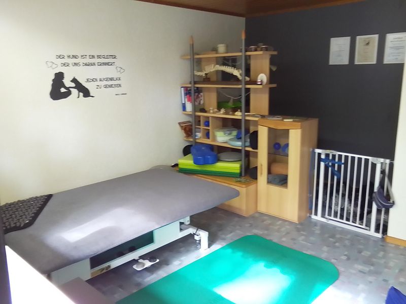 Hundephysiotherapie Mobile Pfoten nze9sn