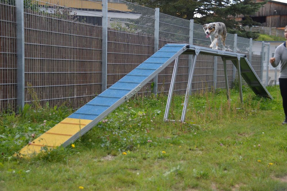 Caniplace   Hundefreizeit und Gesundheitspark nyu4vj