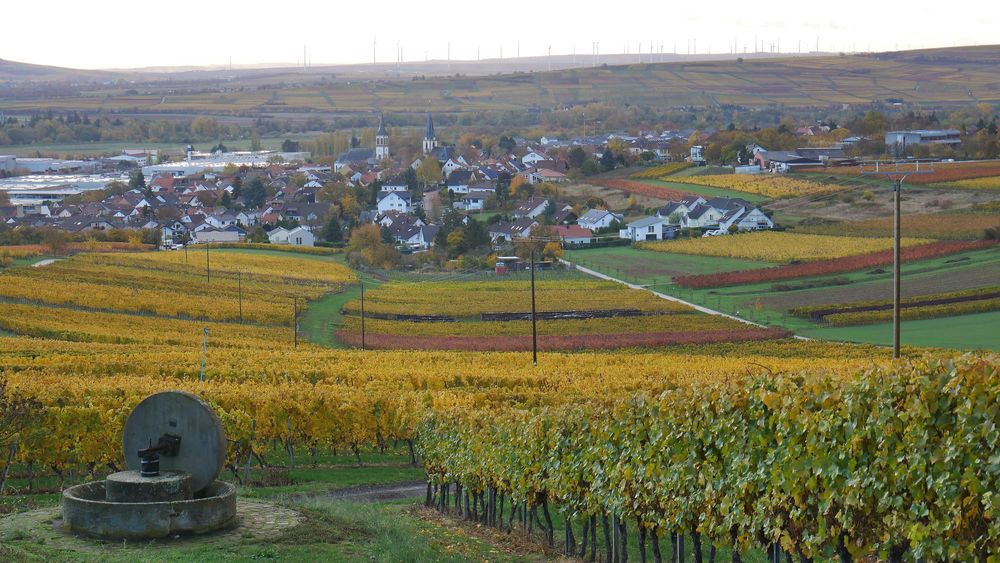 Ferienwohnung an den Weingärten nyolz9