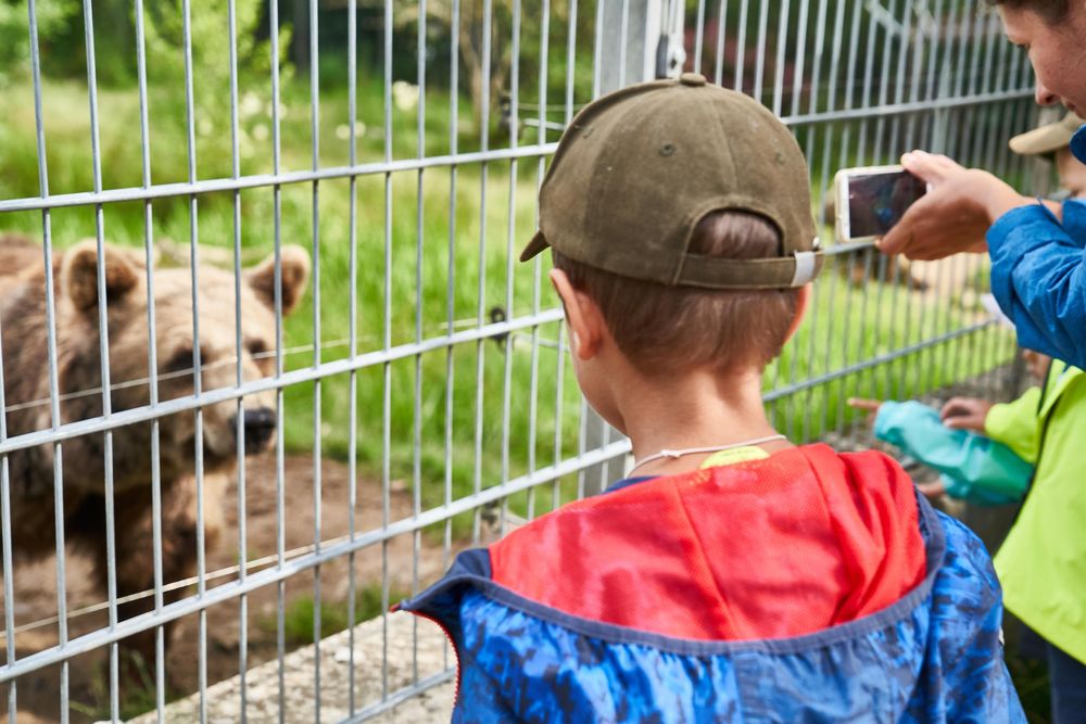 Tierpark Rheinböllen p7p5b8