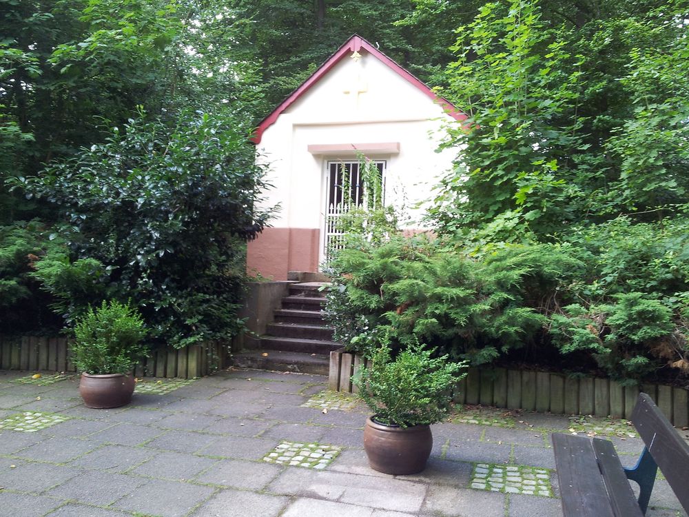 Spaziergang 3   Emmelshausen Heilbrünnchen nv40vg