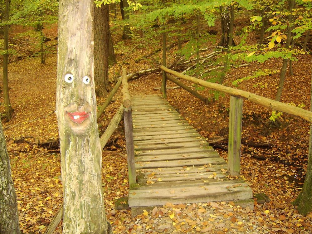 Soonwaldsteig   Gesamtstrecke ntfsi3