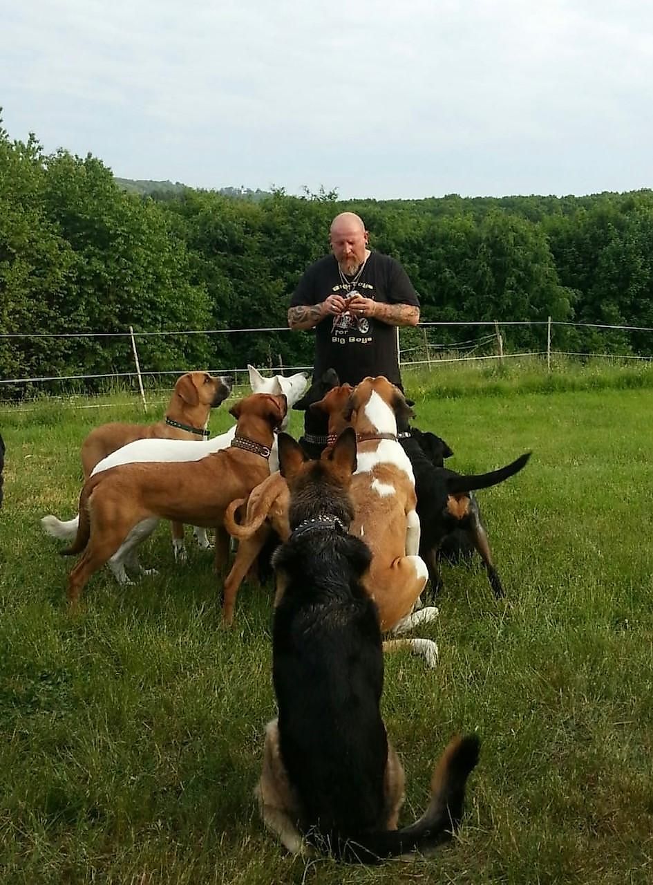 Tierpension Danner nspniq