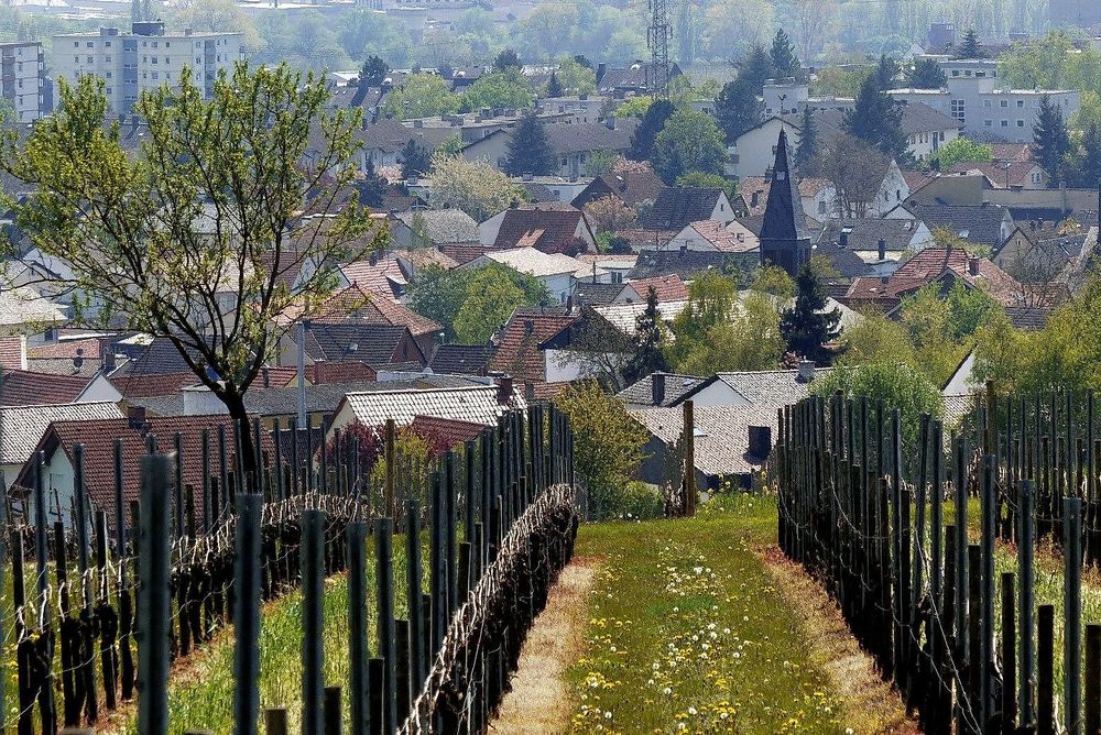 Weingut & Gästezimmer Butzbach nrj9zy
