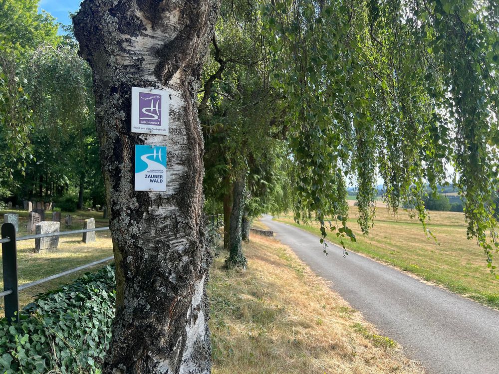 Ferienhäuser im Feriendorf Hambachtal ns4ywi