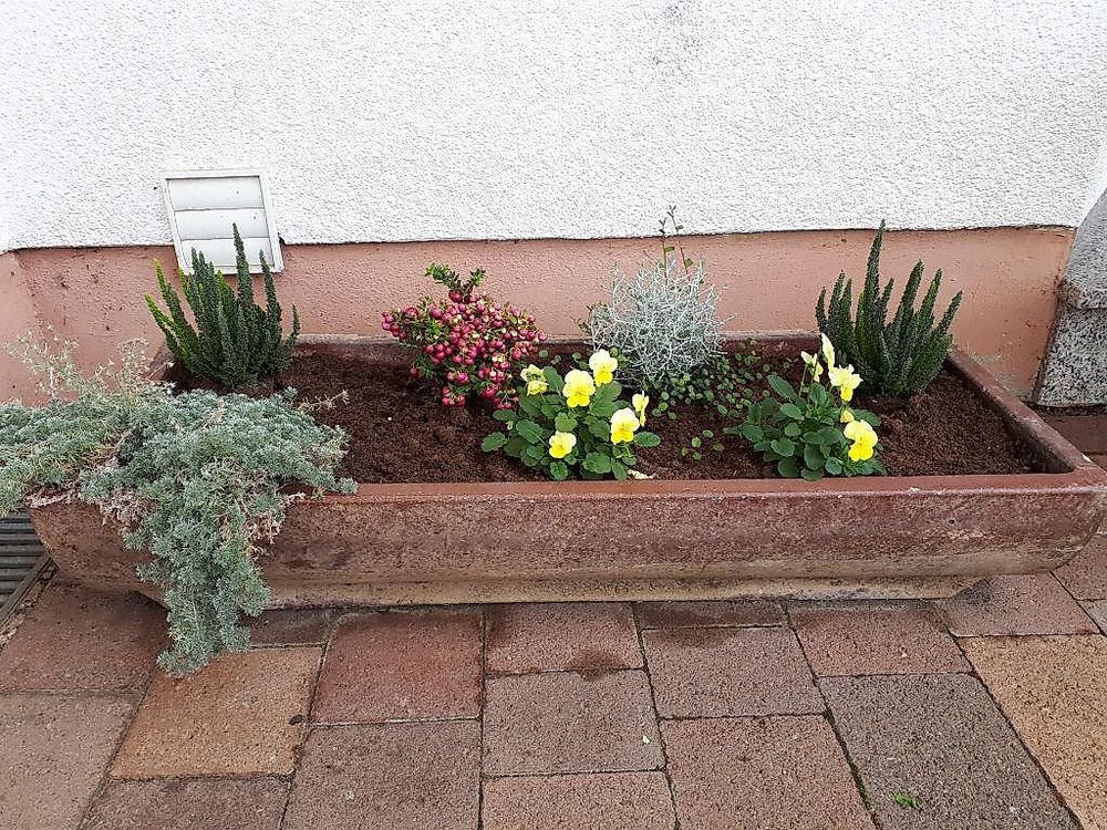 Ferienwohnung An der Traumschleife p46bep